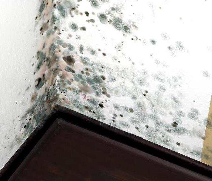 Corner of a wall affected by mold